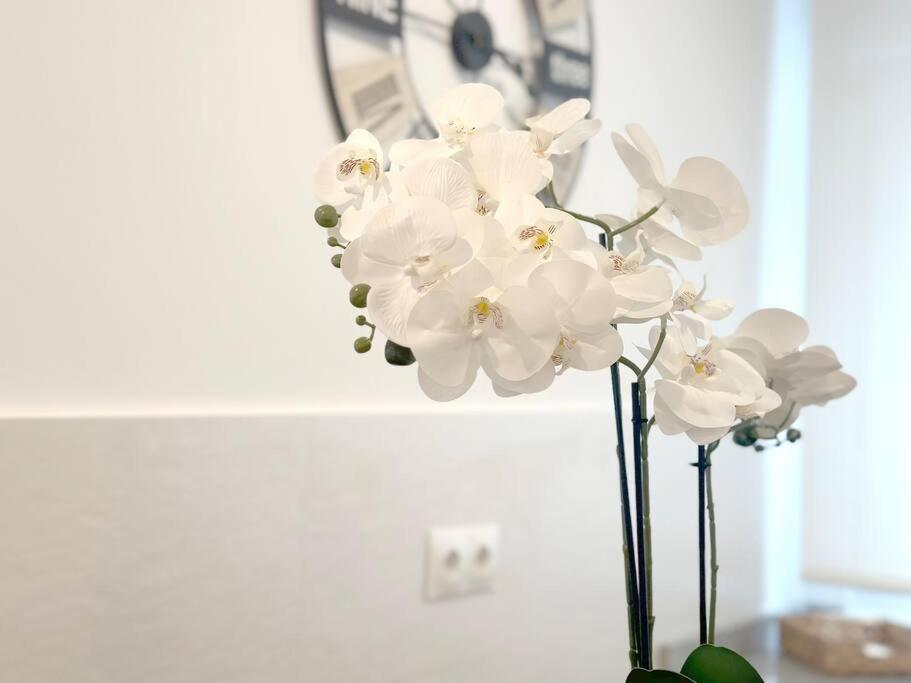 Apartamento Reformado En ซานโตญา ภายนอก รูปภาพ